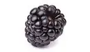 Blackberry Flavor