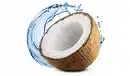 Blue Coconut Flavor