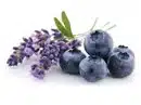 Blueberry Lavender Flavor