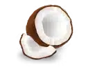 Coconut Syrup