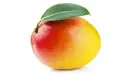 Mango Flavor